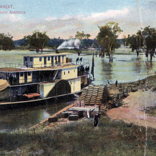 PS Marion on the River Murray [B 428]