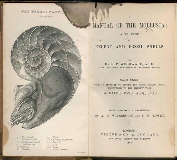 Title page of the book - A manual of the Mollusca : a treatise on recent and fossil shells