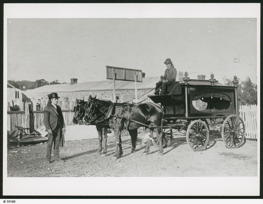 Horse-drawn hearse, 1900. SLSA 19180  