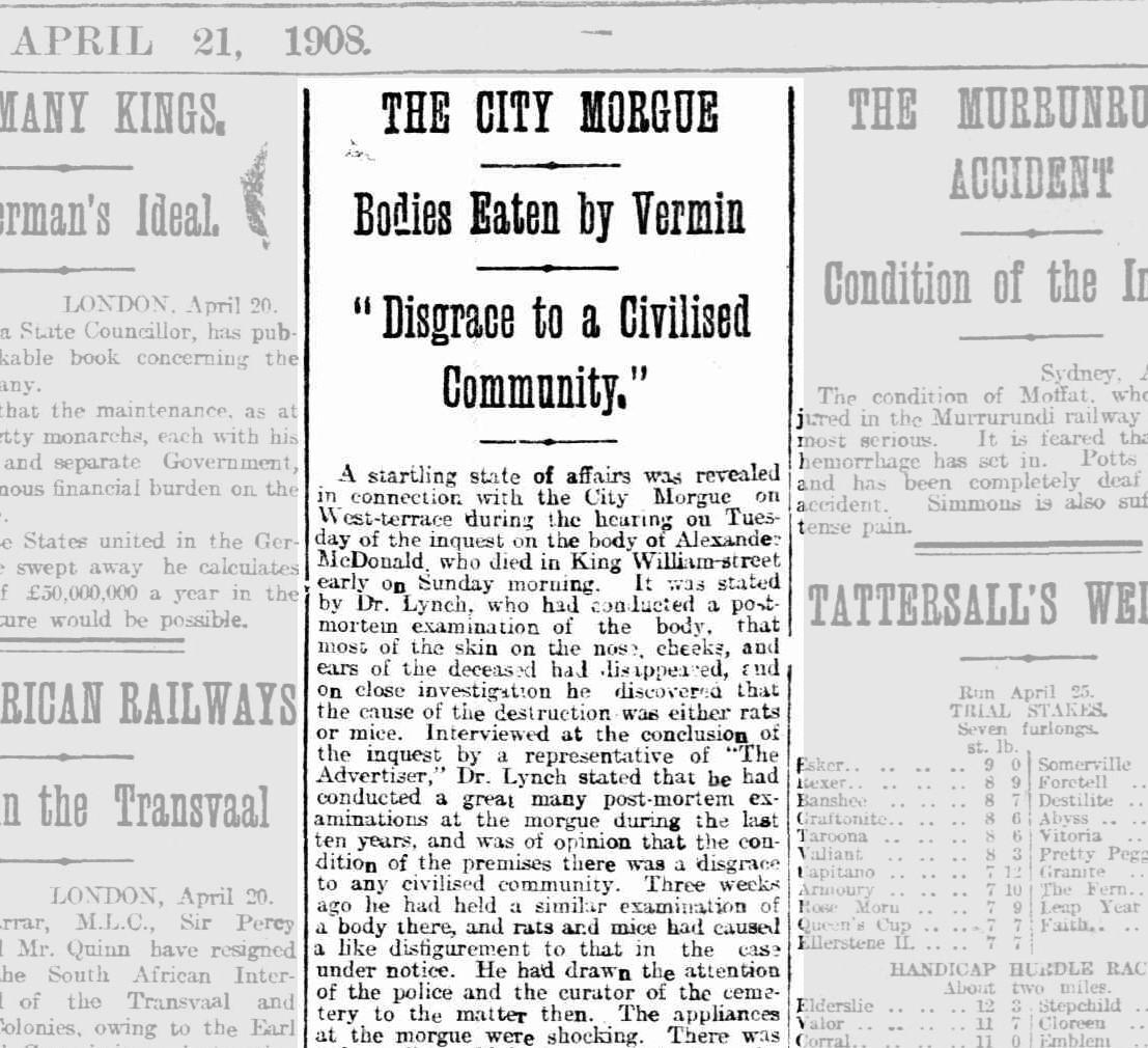 Newspaper article about bodies at the city morgue, The Express and Telegraph, Adelaide. 21 April 1908. Trove: NLA  