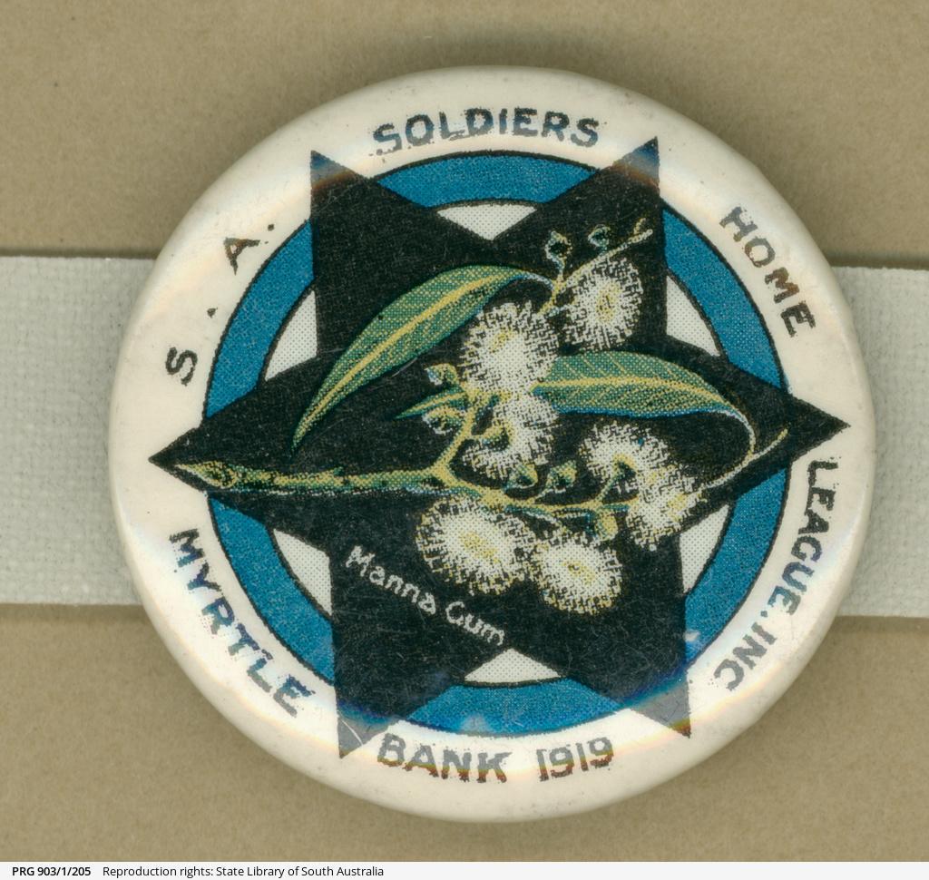 WW1 badge- SA Soldiers Home League - 1919- showing manna gum leaves and blossom