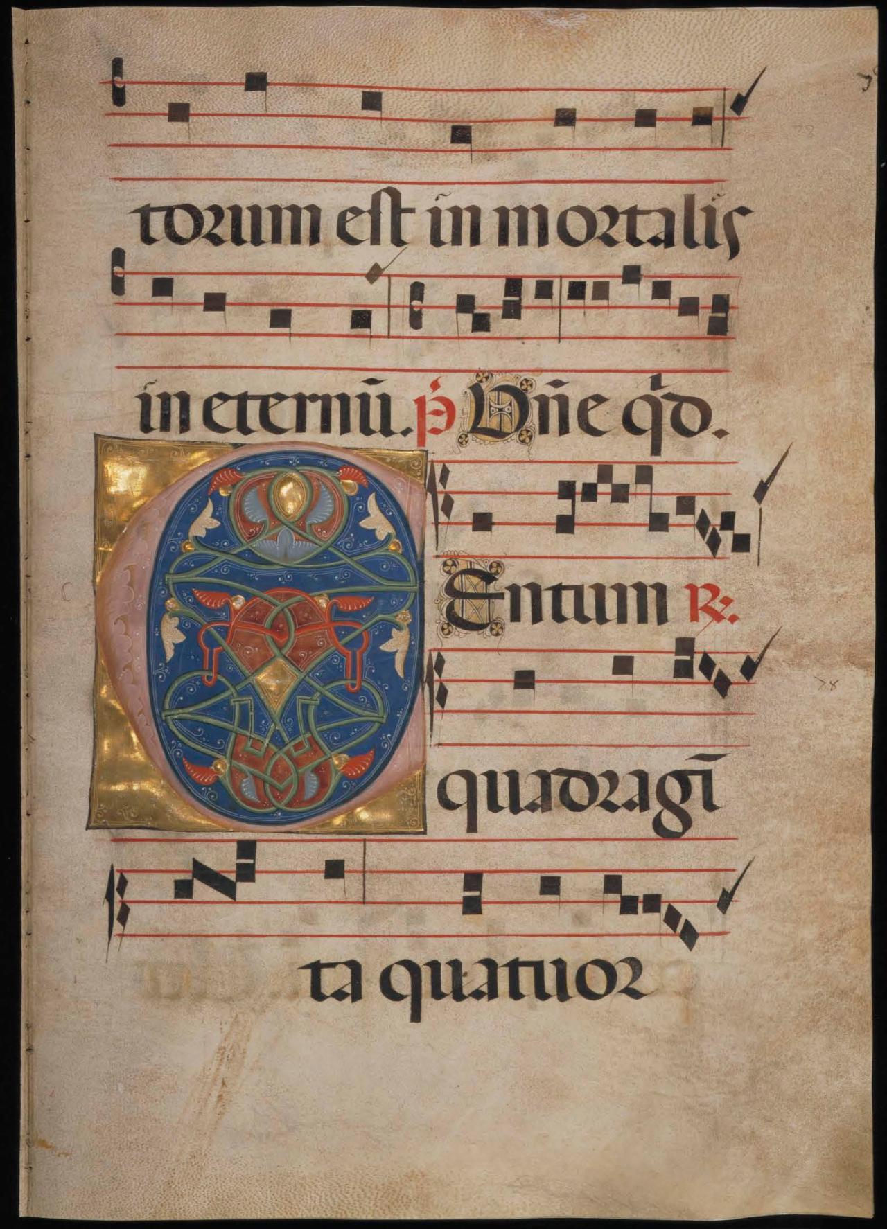 Page 155 of the Antiphonal showing an illuminated C.