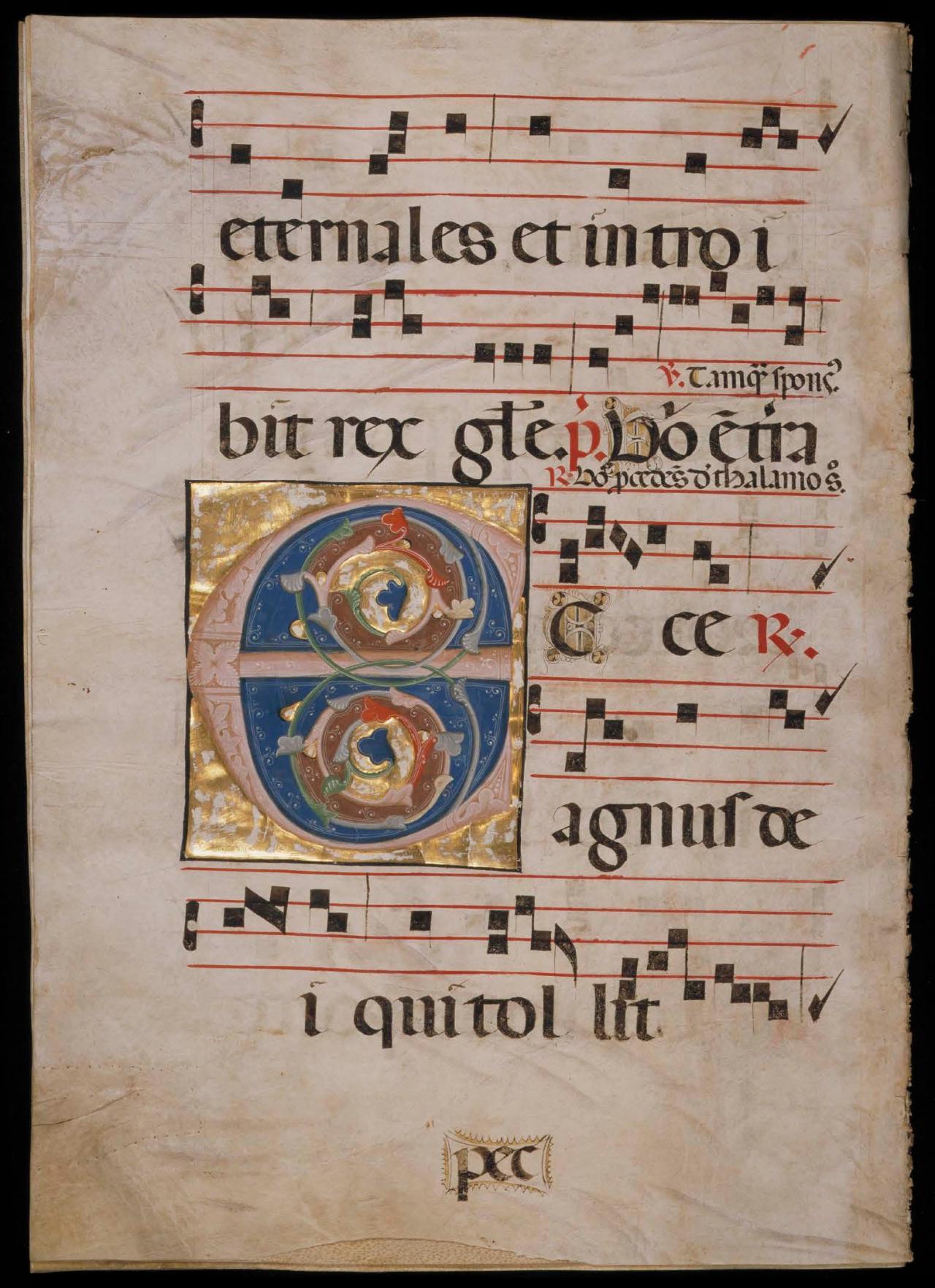 Page 204 of the Antiphonal showing an illuminated E.