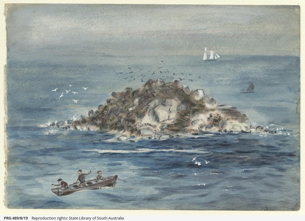 Wright Island, Victor Harbor by W.A.Cawthorne, 1895. SLSA: PRG 489/8/19  