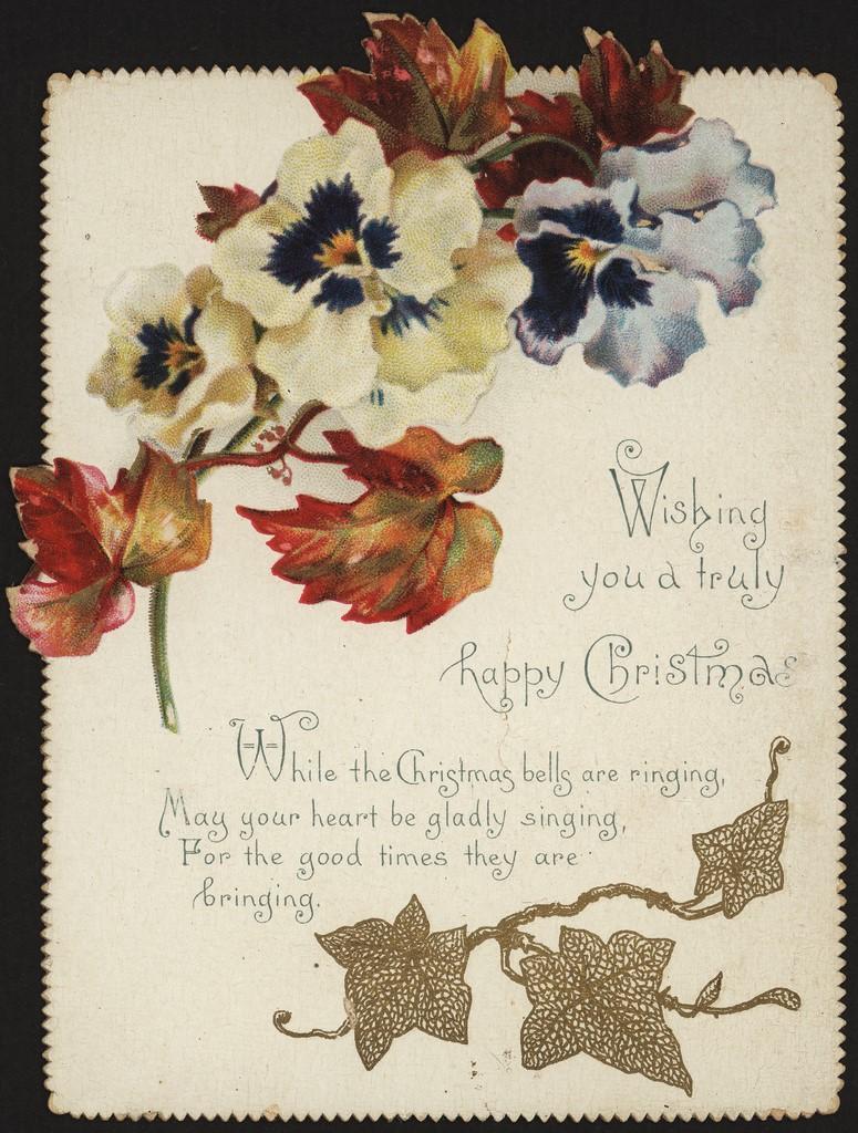 Pansies, autumn leaves and ivy. SLSA: PRG 337-3-12