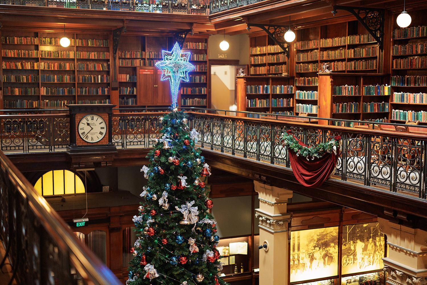 Top of a large Christmas tree with a star in the Mortlock Chamber. 