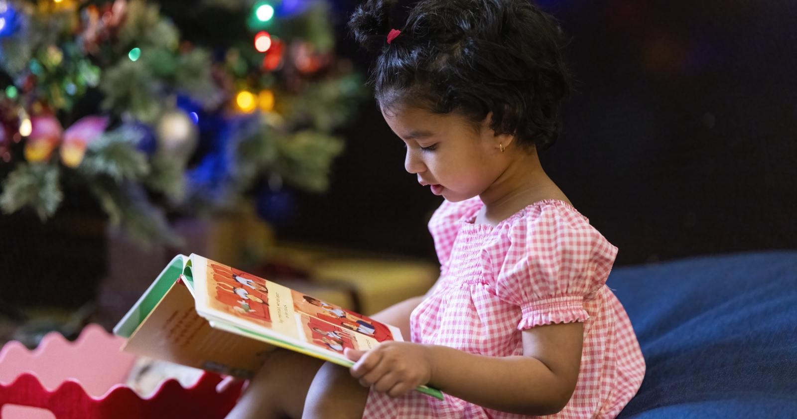 Christmas at the Mortlock - Reading Nook