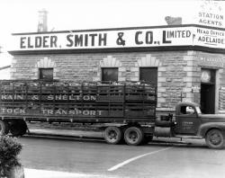 Elder, Smith & Co premises. SLSA: BRG 347/30