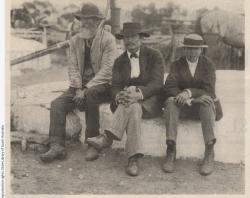 'Witnesses at the Inquest. [from left] Mr Schippan, Gustave Nitschke, William Schippan'. . Photograph published in 'The Critic' newspaper on 18 January 1902. SLSA: B 75311/10 