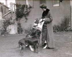 Helen Waterhouse and her two dogs at Mt Lofty House-c1913