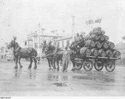 A horse-drawn dray owned by the Walkerville Co-operative Brewing Company Ltd. SLSA: PRG 280/1/42/207