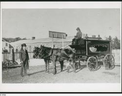 Horse-drawn hearse, 1900. SLSA 19180  