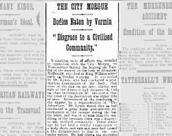 Newspaper article about bodies at the city morgue, The Express and Telegraph, Adelaide. 21 April 1908. Trove: NLA  