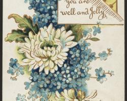 'Hoping You are well and jolly' Xmas greeting with chrysanthemum and forget-me-nots