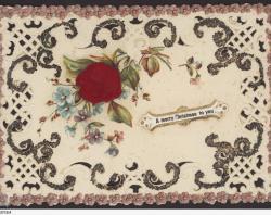 Red rose 'A merry Christmas to you'. SLSA: PRG 337/3/4