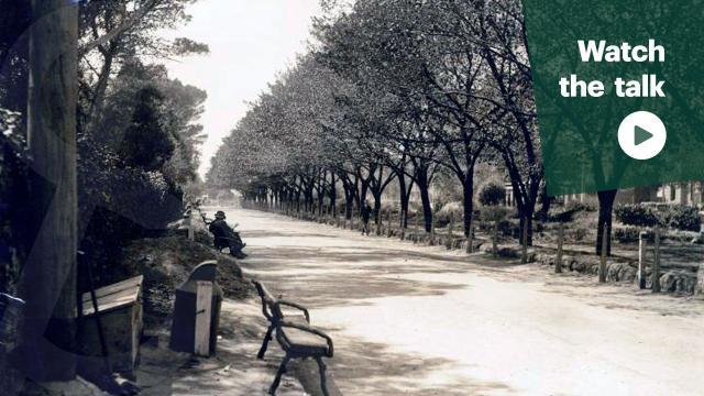 Watch the talk 'An endurance of trees'