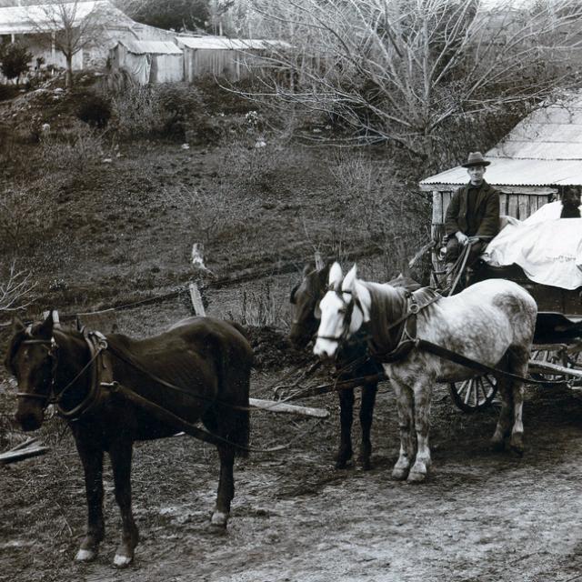 Horse-drawn wagon, Heywood farm, Mount Compass [B 18659/16]