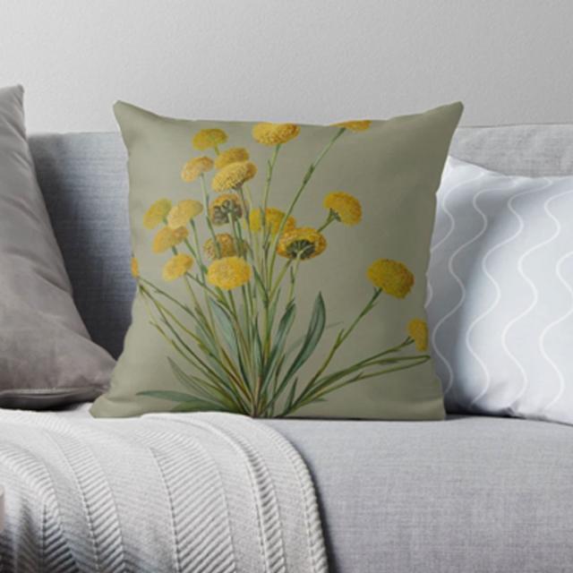 Rosa Fiveash, Billy Buttons on a cushion in the Redbubble shop.